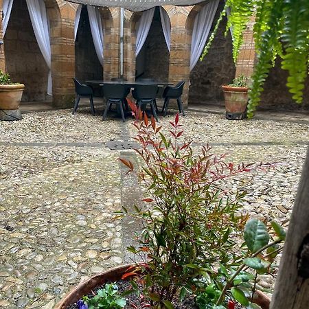 Orvieto: Spacious 3Br 3Ba Apartment With Balcony & Patio Exteriör bild
